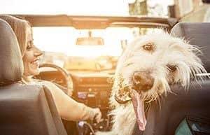 dog-appreciates-atlanta-mobile-mechanic-300x193 Dog appreciates las vegas mobile mechanics